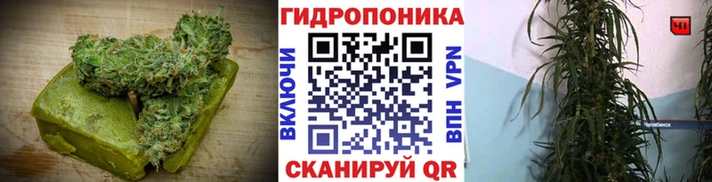 Купить где  Ясногорск  Cannafood конопля 