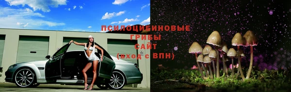 гидропоника Липки