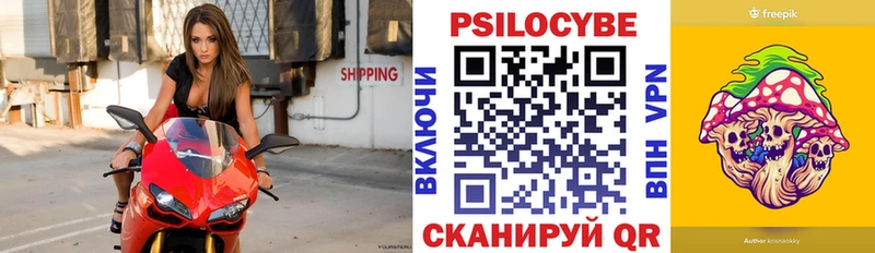 Псилоцибиновые грибы Psilocybe  Купить где  Ясногорск 
